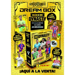 DREAM BOX ADRENALYN 24-25...